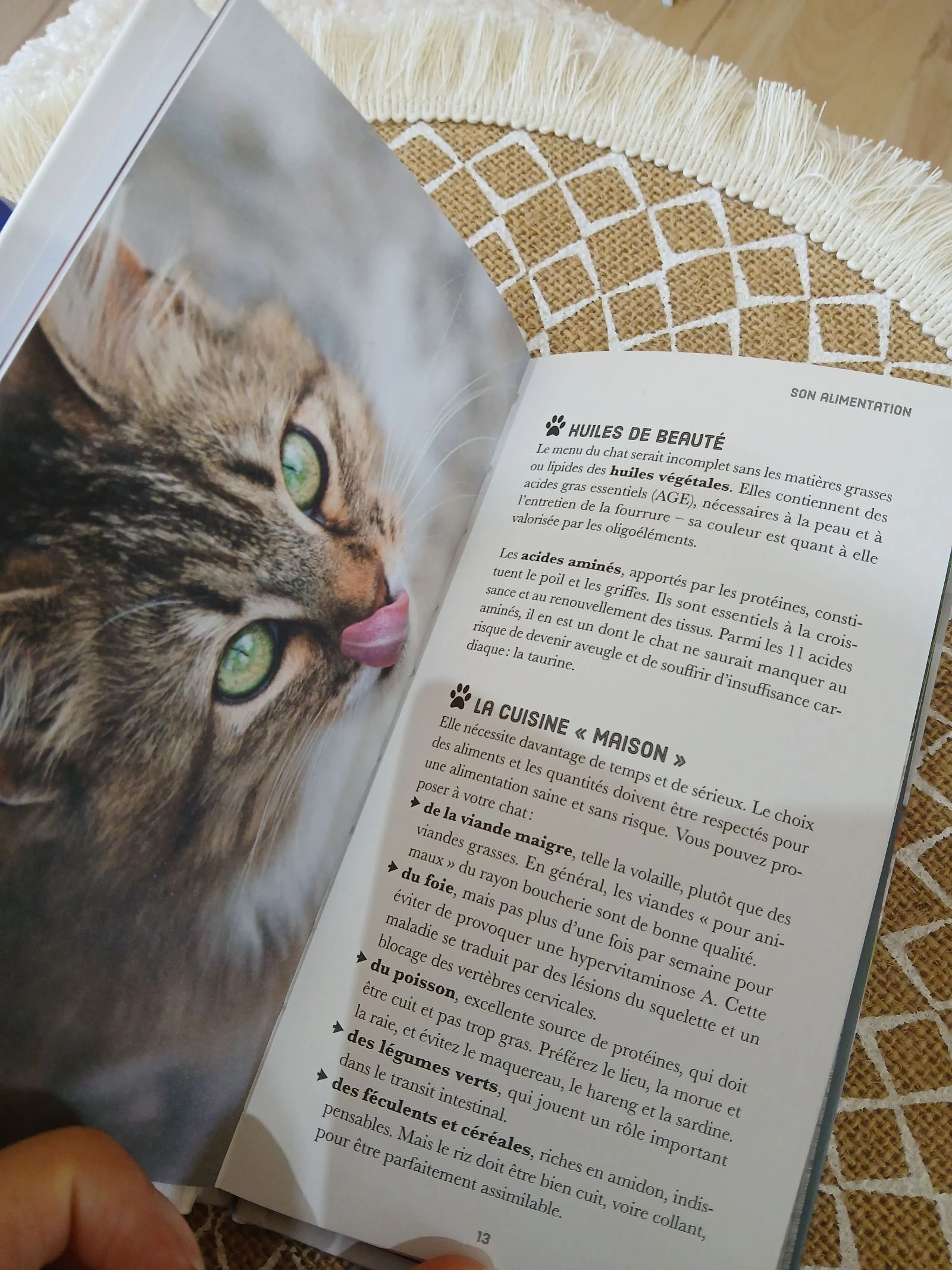 Lance croquettes Jeux pour Chien et Chat  – photo 5
